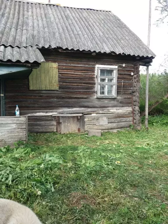 Дом в Новгородская область, Батецкий район, д. Очно  (48 м) - Фото 0