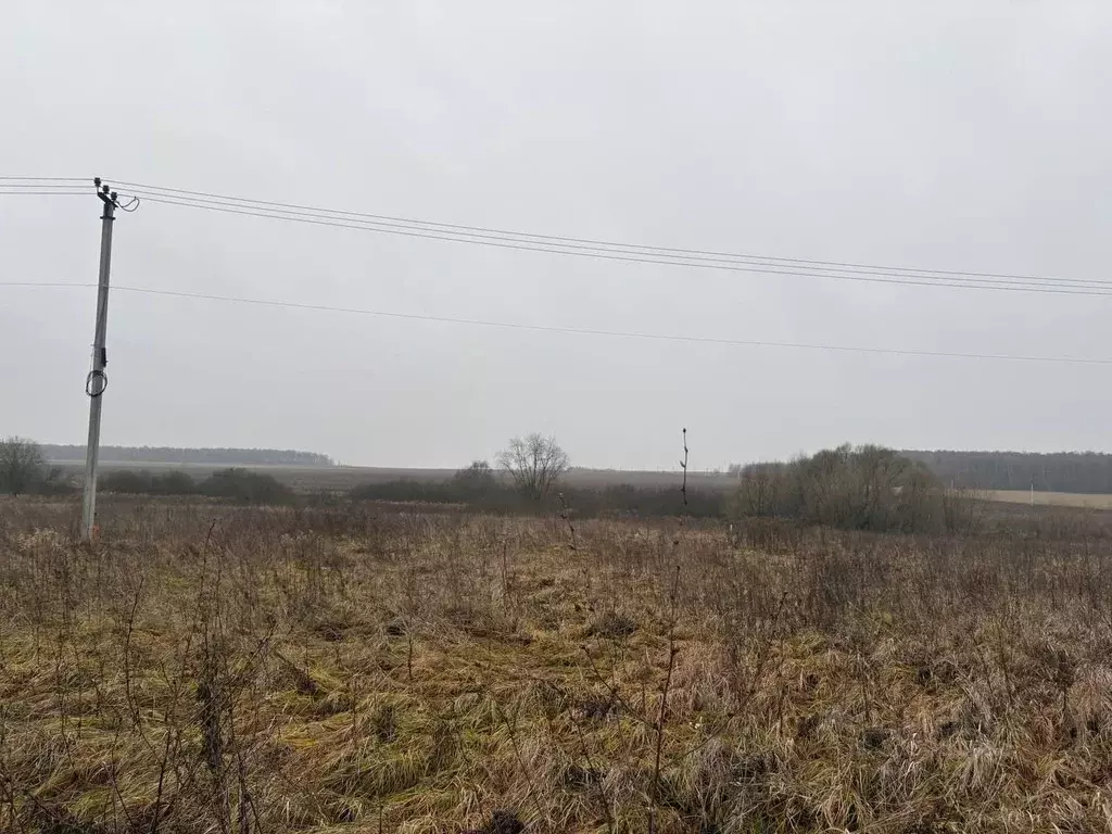 Участок в Московская область, Воскресенск  (10.11 сот.) - Фото 1