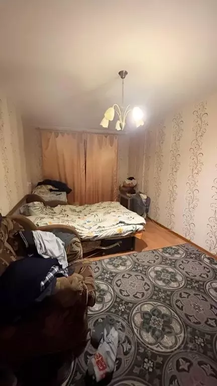 1-к кв. Ленинградская область, Ломоносовский район, Кипенское с/пос, ... - Фото 2