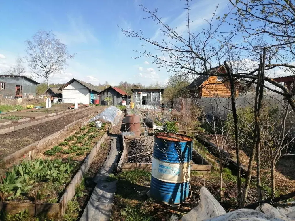 Участок в Вологодская область, Сокол ул. 6-я Глушицкая (4.0 сот.) - Фото 0