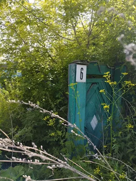 Участок в Омская область, Марьяновка рп ул. Южная, 6 (5.0 сот.) - Фото 1