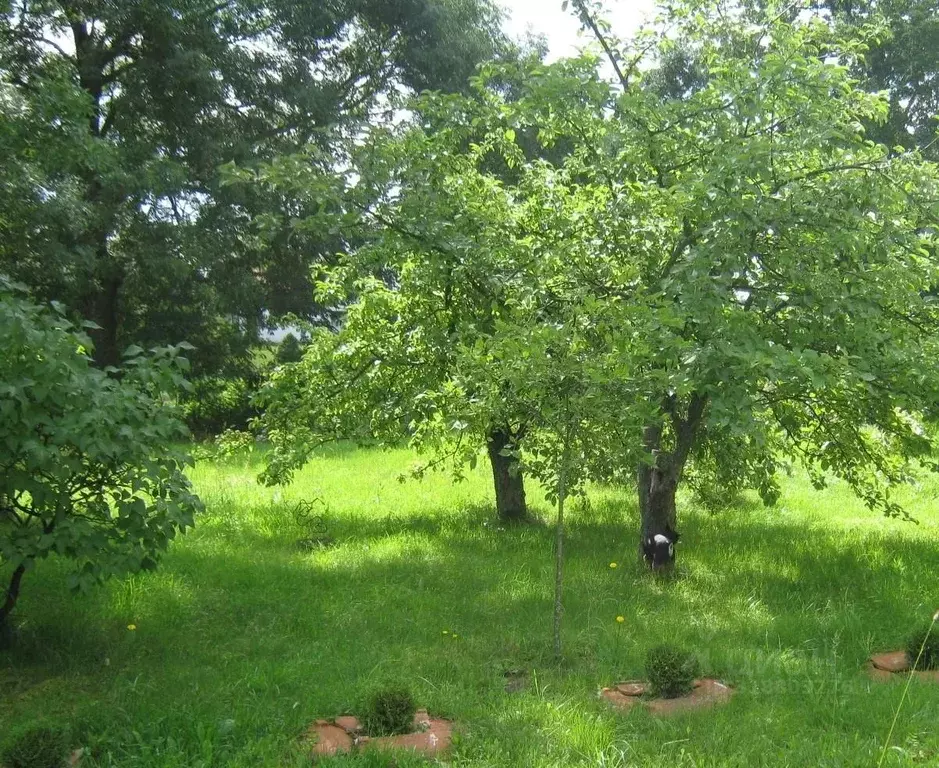 Участок в Калининградская область, Багратионовский муниципальный ... - Фото 1