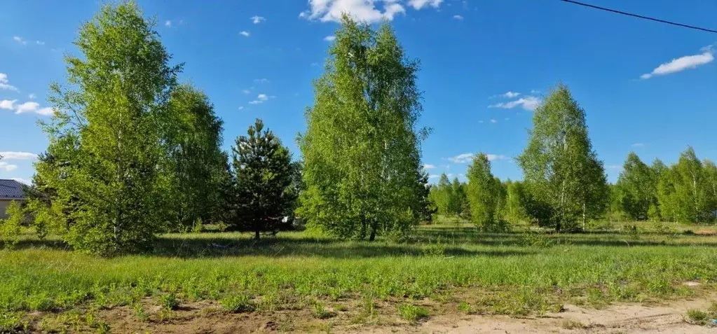 Участок в Татарстан, Лаишевский район, Сокуровское с/пос  (10.0 сот.) - Фото 1