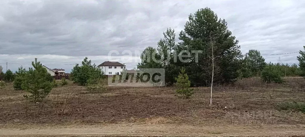 Участок в Владимирская область, Суздальский район, Боголюбовское ... - Фото 0