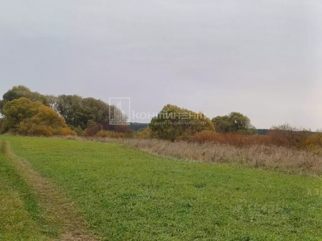 Участок в Владимирская область, Суздальский район, Павловское ... - Фото 2