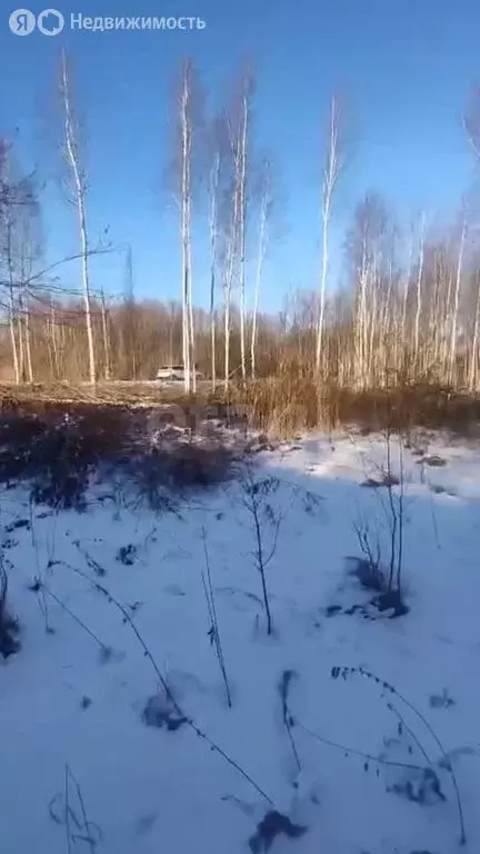 Участок в Тюменская область, Нижнетавдинский муниципальный округ, СНТ ... - Фото 2