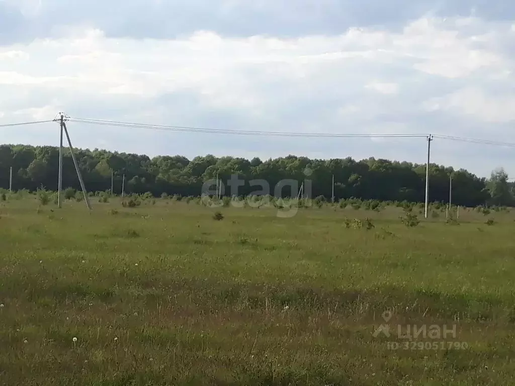 Участок в Курская область, Курский район, Моковский сельсовет, д. ... - Фото 1