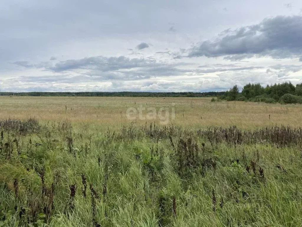 Участок в Владимирская область, Муром д. Макаровка, ул. Центральная ... - Фото 1