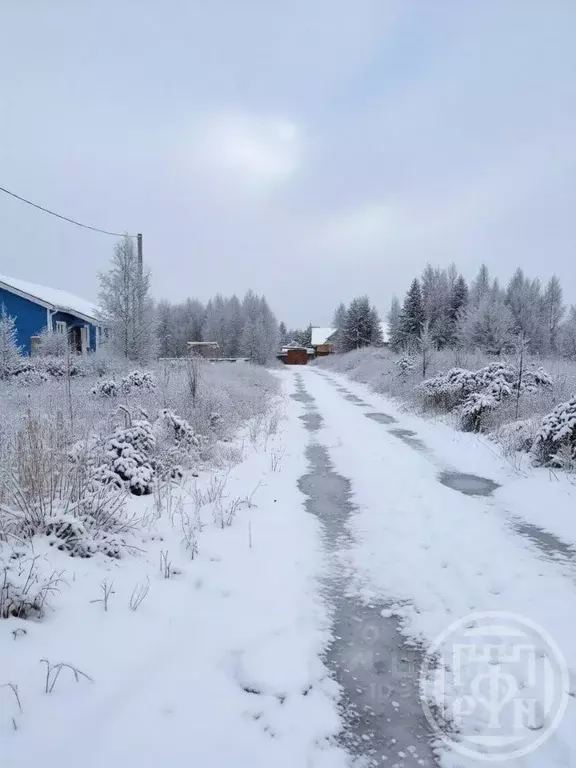 Участок в Ленинградская область, Тосненский район, Ульяновское ... - Фото 2