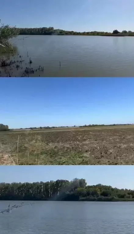 Участок в Краснодарский край, Кореновский район, Сергиевская ст-ца ... - Фото 1