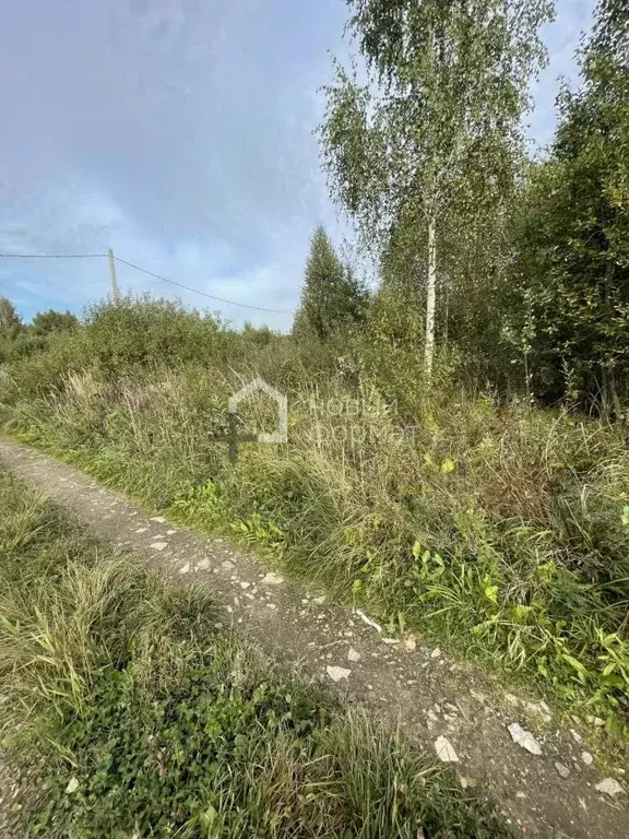 Участок в Московская область, Раменский муниципальный округ, Новое ... - Фото 1