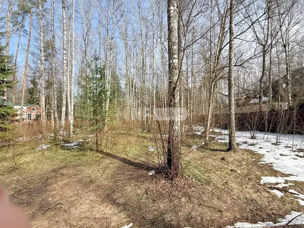 Участок в Московская область, Одинцовский городской округ, д. ... - Фото 1