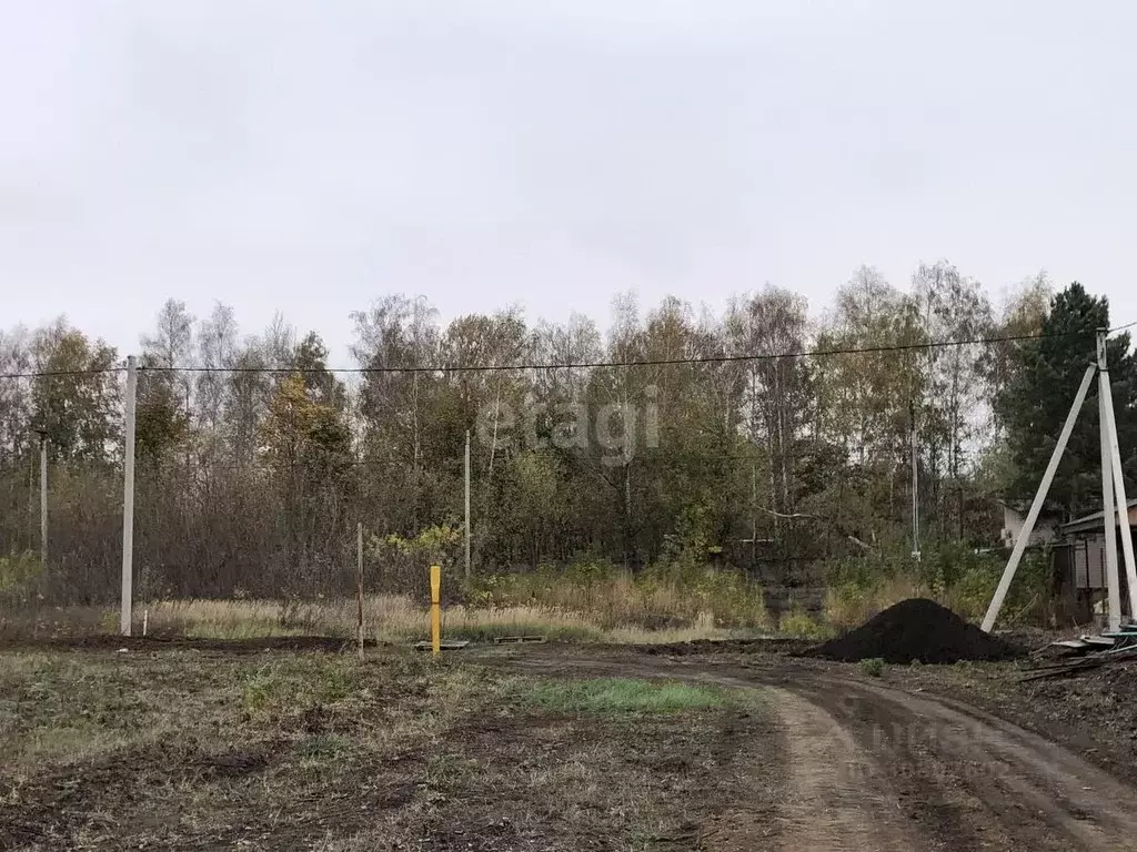 Участок в Тамбовская область, Тамбовский муниципальный округ, д. ... - Фото 1