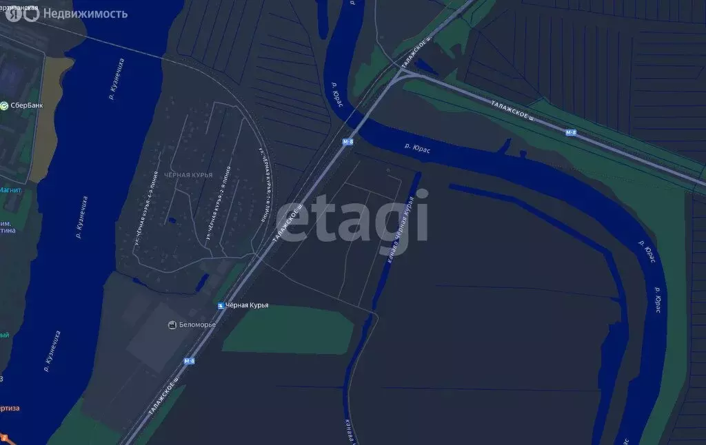 Участок в Архангельская область, Приморский муниципальный округ, СНТ ... - Фото 2