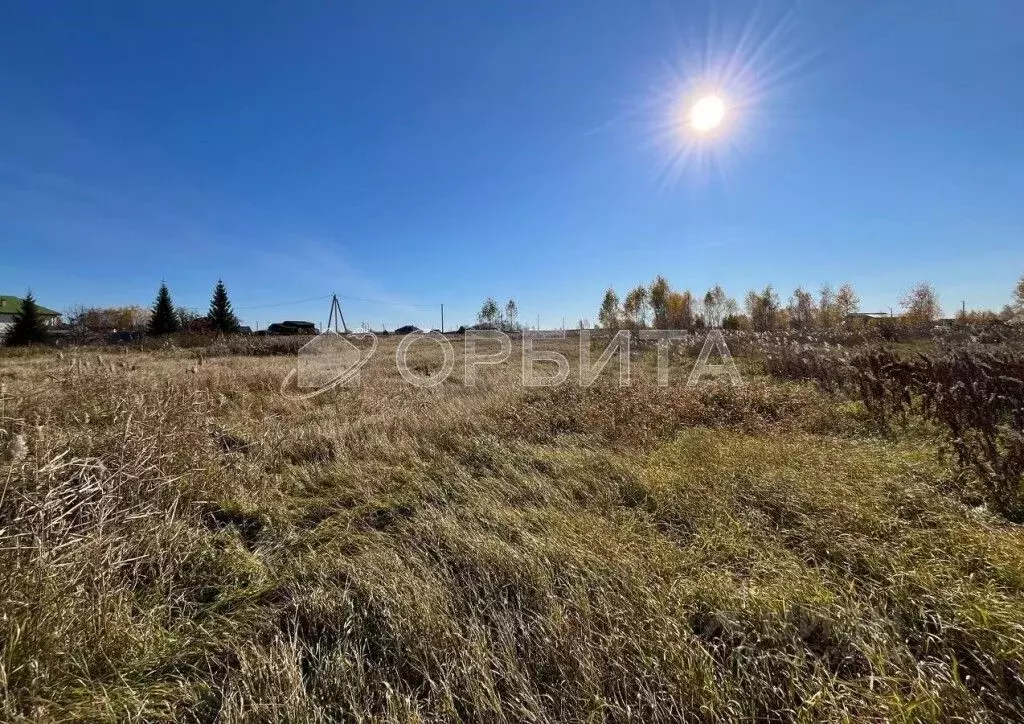 Участок в Тюменская область, Тюменский муниципальный округ, ... - Фото 2