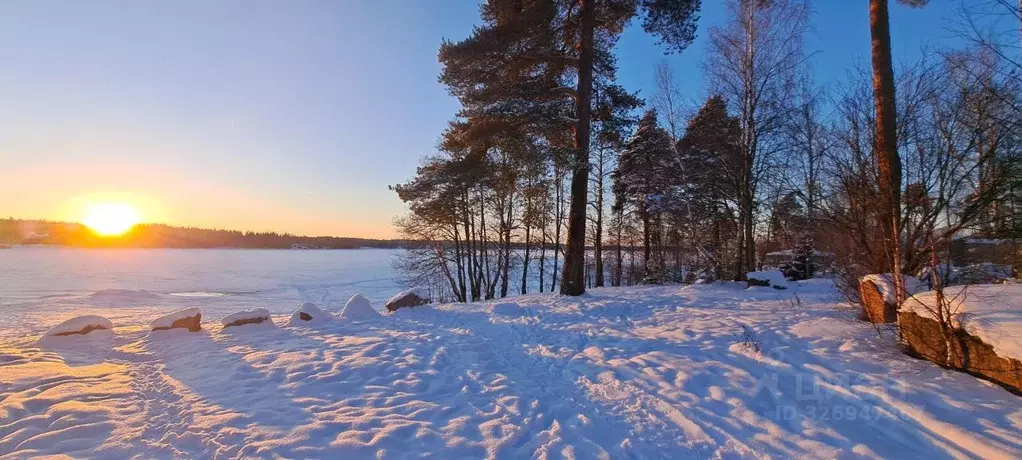 Участок в Ленинградская область, Выборг Поселок Кировские дачи,  (15.0 ... - Фото 2