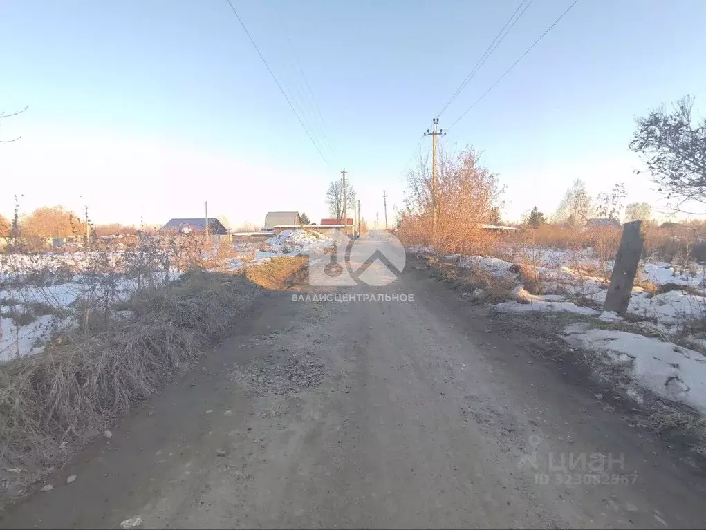 Участок в Новосибирская область, Мошковский район, с. Сокур Рабочая ... - Фото 1