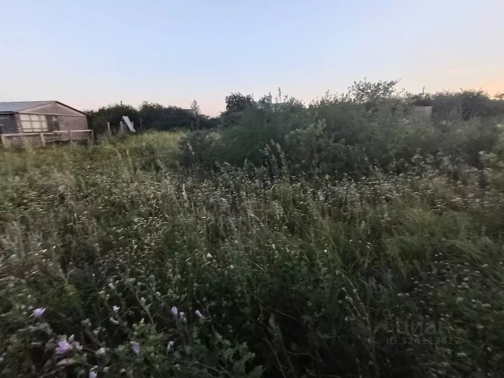 Участок в Оренбургская область, Оренбургский район, Степановский ... - Фото 2