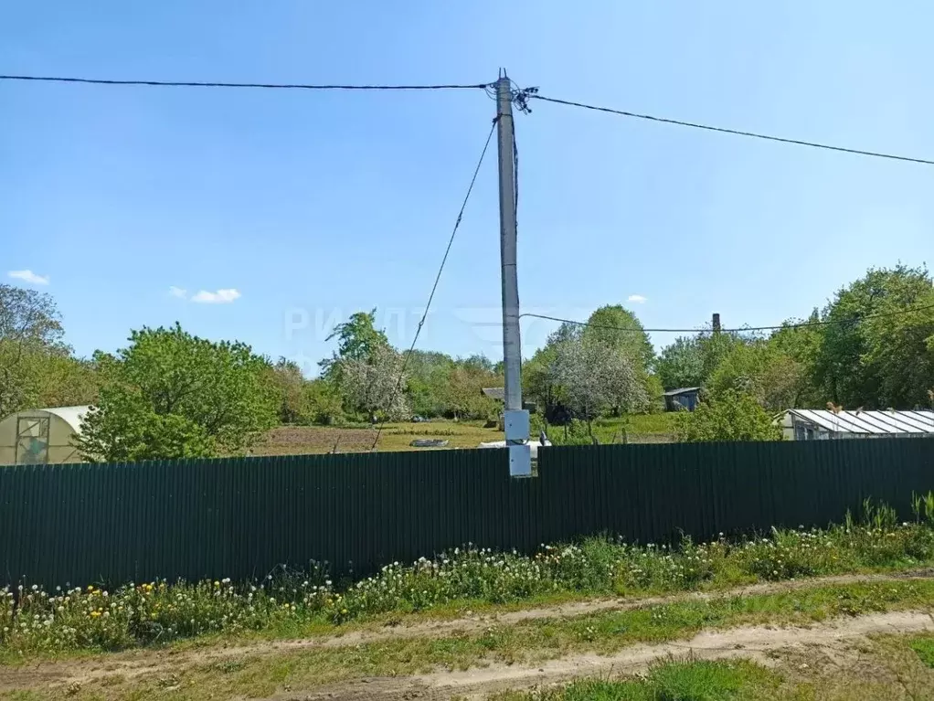 Участок в Калининградская область, Янтарный пгт, Садовник СНТ  (7.9 ... - Фото 2