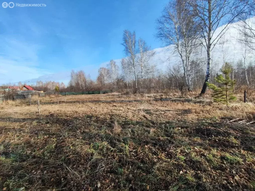 Участок в Тюменский муниципальный округ, садоводческое некоммерческое ... - Фото 2