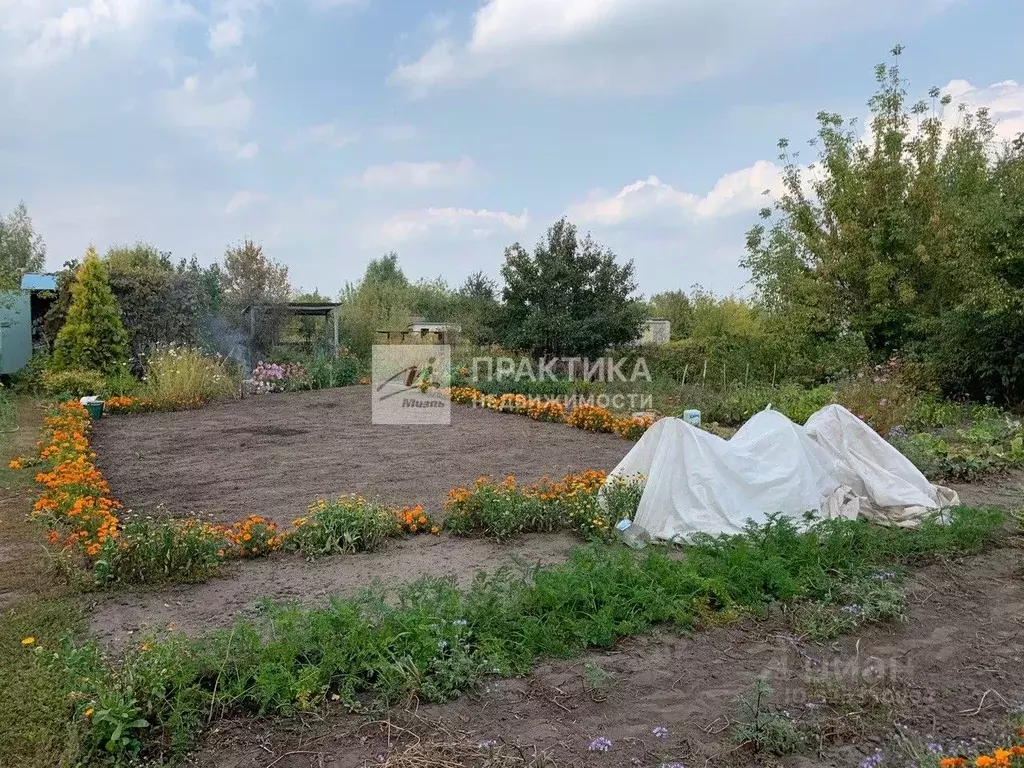 Участок в Липецкая область, Липецк Дачный-5 СНТ, ул. 47-я (6.0 сот.) - Фото 2