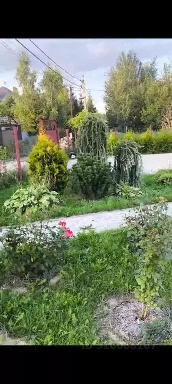 Участок 12 сот. (ИЖС) - Фото 0