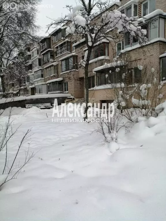 1-комнатная квартира: деревня Нурма, 5 (33.7 м) - Фото 1