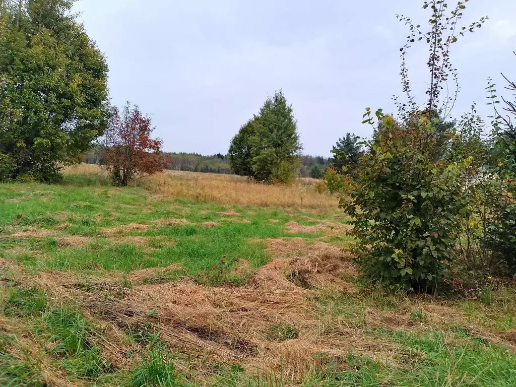 Участок в Тверская область, Калининский муниципальный округ, д. ... - Фото 2