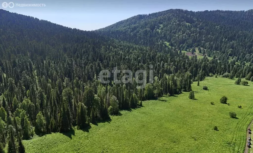 Участок в Чемальский район, Чемальский тракт (51.2 м) - Фото 1