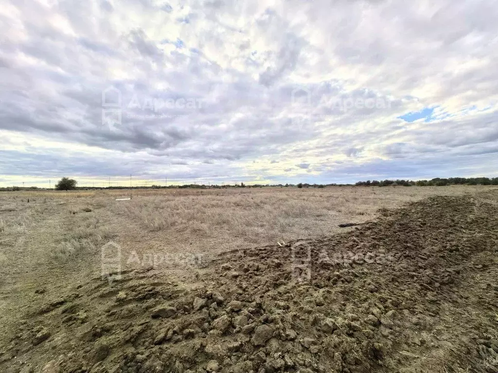 Участок в Волгоградская область, Среднеахтубинский район, Фрунзенское ... - Фото 2