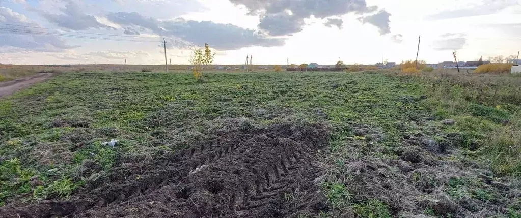Участок в Челябинская область, Еткульский муниципальный округ, с. ... - Фото 2