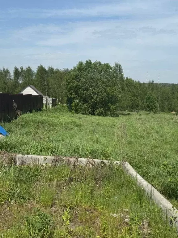 Участок в Московская область, Солнечногорск городской округ, д. Покров ... - Фото 0