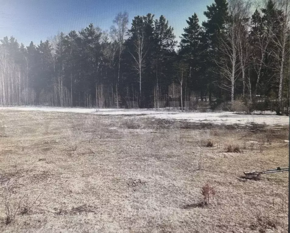 Участок в Алтайский край, Павловский район, пос. Новые зори Озерная ... - Фото 1