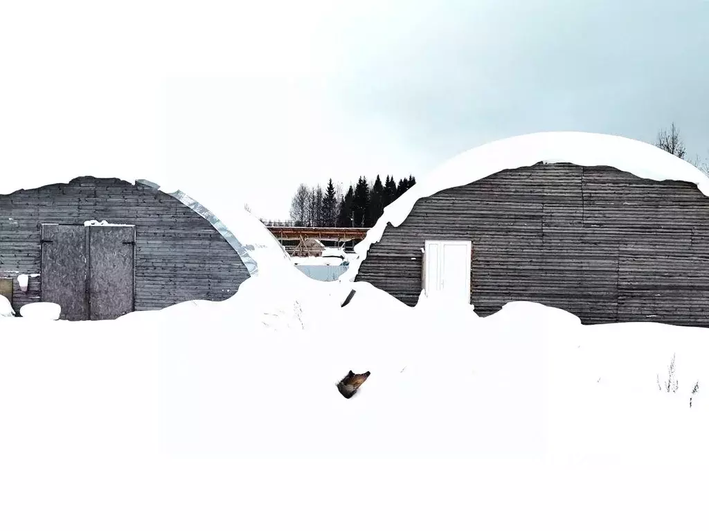 Участок в Коми, Сыктывдинский район, с. Выльгорт, Захаровка мест.  ... - Фото 0