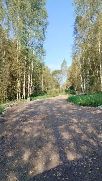 Участок в Ленинградская область, Приозерский район, Красноозерное ... - Фото 1