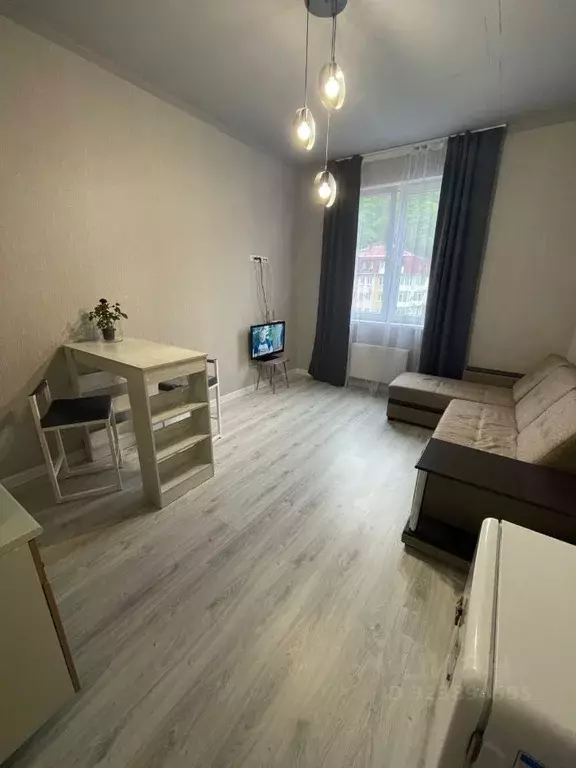 1-к кв. Краснодарский край, Сочи городской округ, с. ... - Фото 2