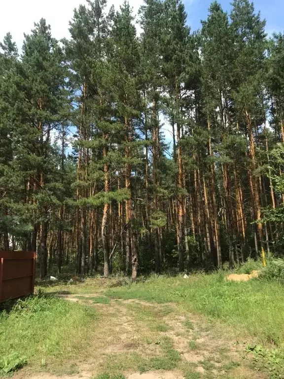 Участок в Тамбовская область, Знаменский муниципальный округ, д. ... - Фото 1