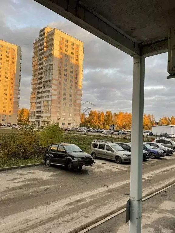Студия Новосибирская область, Новосибирск ул. Татьяны Снежиной, 21/1 ... - Фото 1