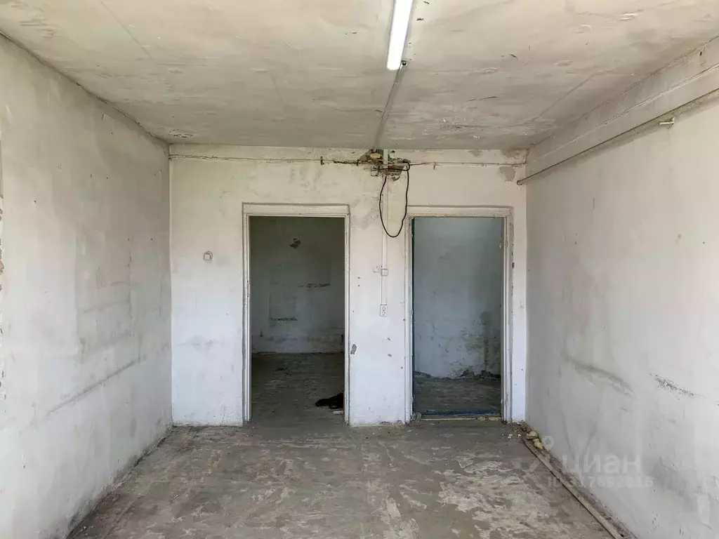 Помещение свободного назначения в Новосибирская область, Новосибирский ... - Фото 2