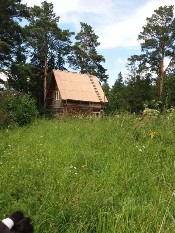 Участок в Красноярский край, Емельяновский муниципальный округ, Белка ... - Фото 2