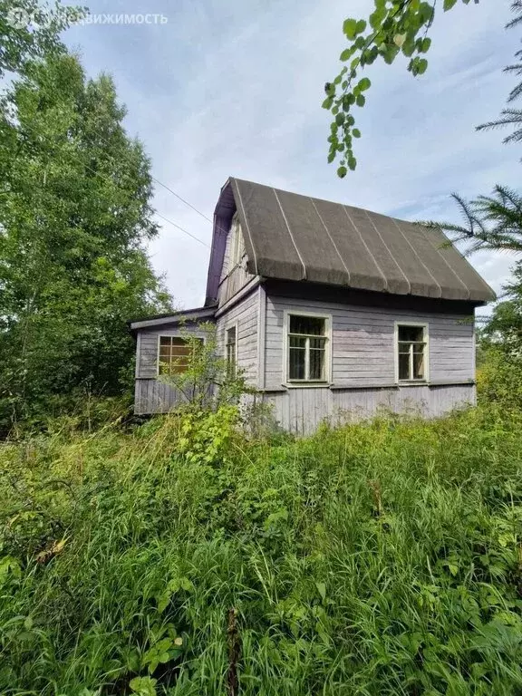 Дом в Павловское городское поселение, дачный массив Горы-2 (33.1 м) - Фото 2