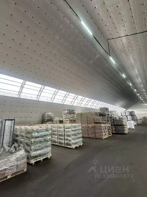 Склад в Московская область, Балашиха ш. Косинское, вл7 (1000 м) - Фото 2