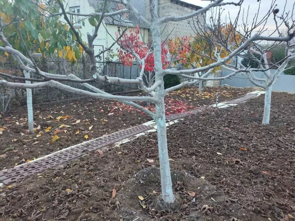 Участок в Севастополь Балаклавский муниципальный округ, Родник ТСН, ... - Фото 1