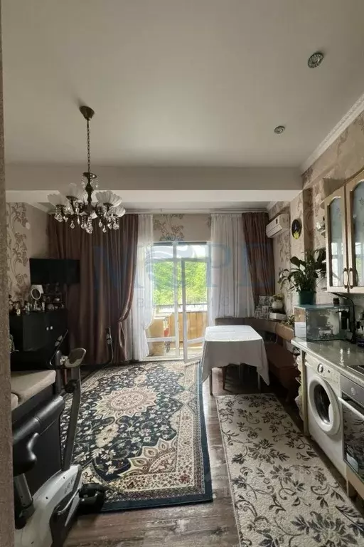 2-к кв. Краснодарский край, Сочи ул. Тимирязева, 25 (30.4 м) - Фото 2