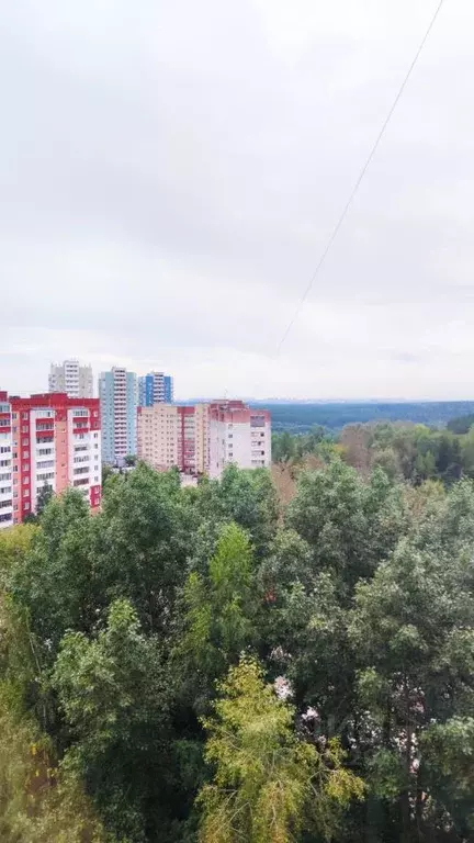 2-к кв. Пермский край, Пермь ул. Маршала Толбухина, 18 (49.6 м) - Фото 1