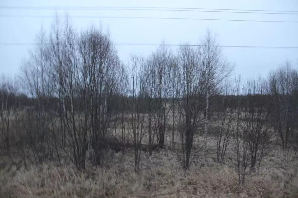 Участок в Московская область, Шаховская муниципальный округ, д. ... - Фото 1