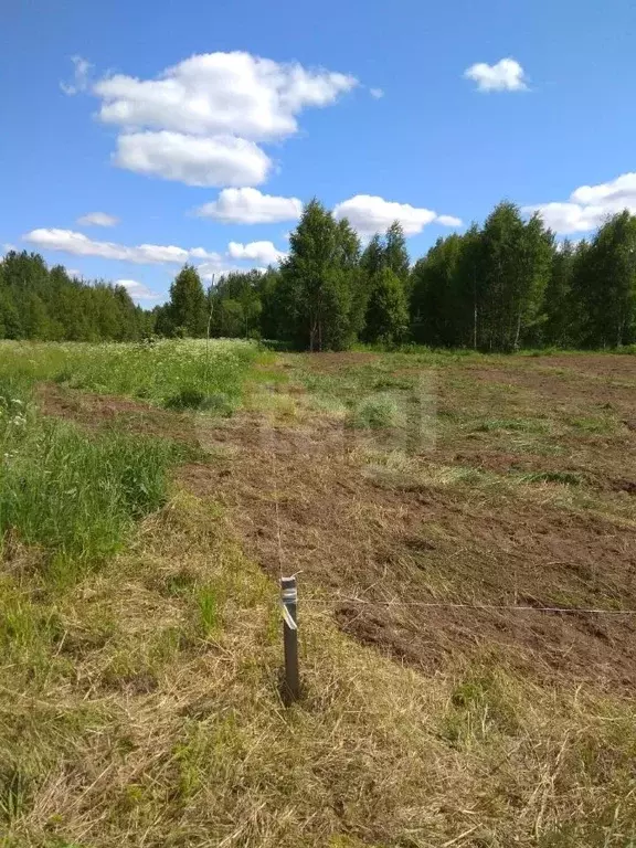 Участок в Вологодская область, Кирилловский муниципальный округ, д. ... - Фото 1