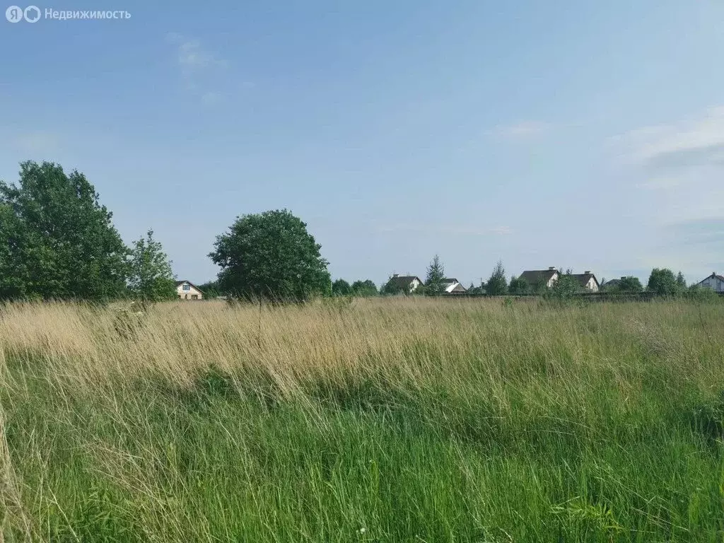 Участок в Суздальский район, муниципальное образование Павловское, ... - Фото 1