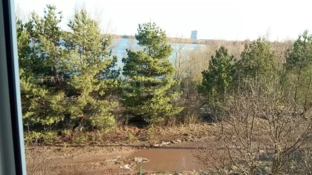 Дом в Тверская область, Удомельский муниципальный округ, д. Акулово  ... - Фото 2