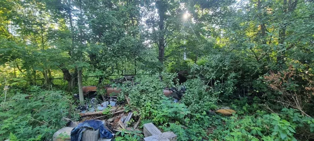 Участок в Ленинградская область, Всеволожский район, Юкковское с/пос, ... - Фото 2